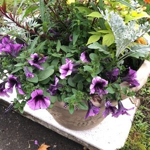 Meet your Posher, Antonia